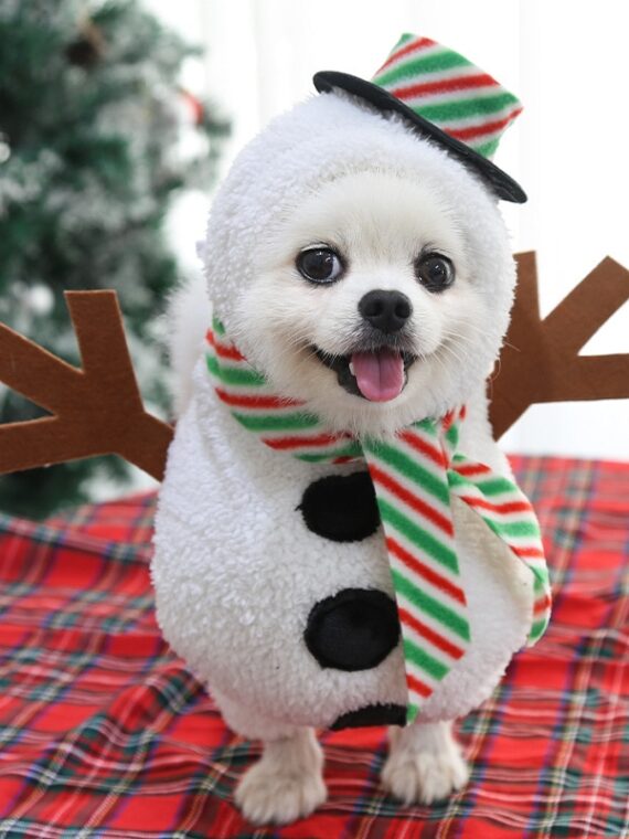 Snowman Costume - Cosplay Clothes For Dogs