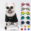 Classic Sunglass - Decorative Accessory for Dog