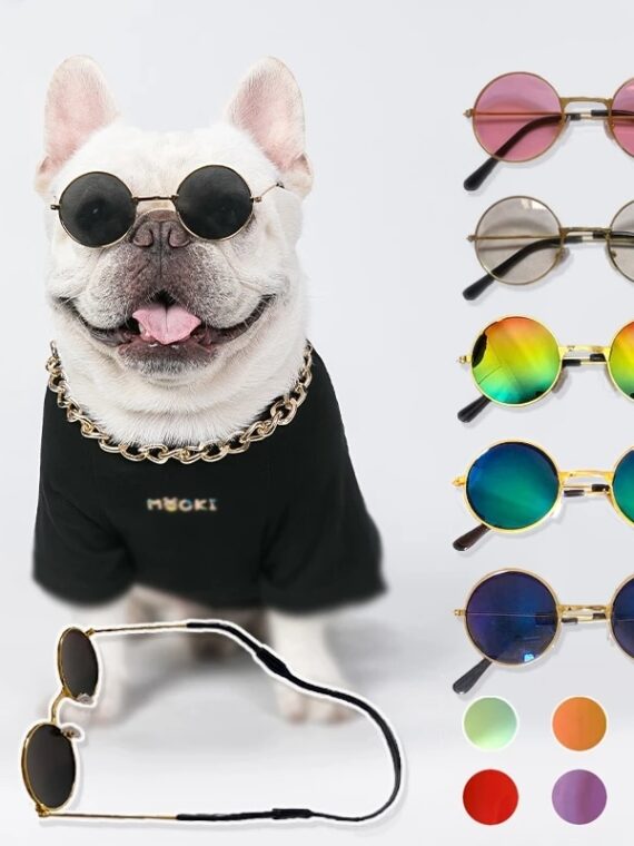 Classic Sunglass - Decorative Accessory for Dog