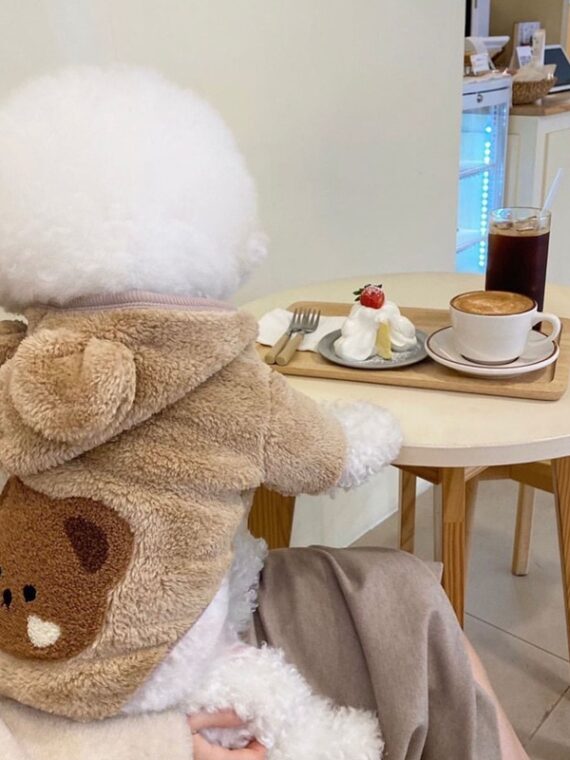 Fleece Coat - Unique Bear Coat For Dog