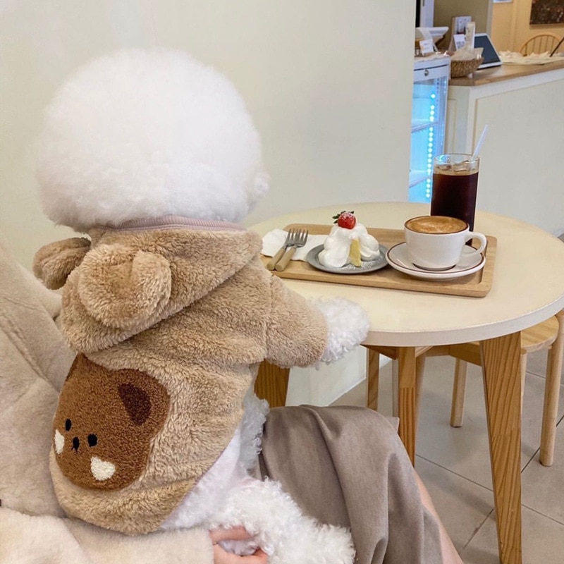 Fleece Coat – Unique Bear Coat For Dog