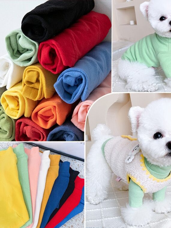 Basic T-shirts To Keep Dogs Warm