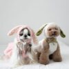 Winter Clothes For Dogs - Cute Bunny Style