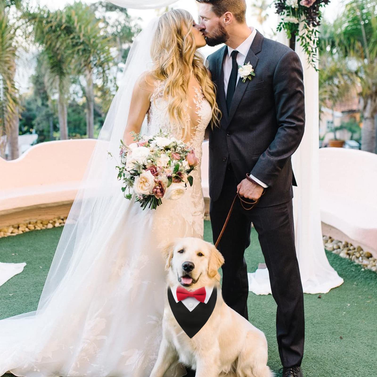Bow Tie Collar - Party Accessories For Dogs
