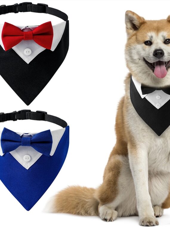 Bow Tie Collar - Party Accessories For Dogs