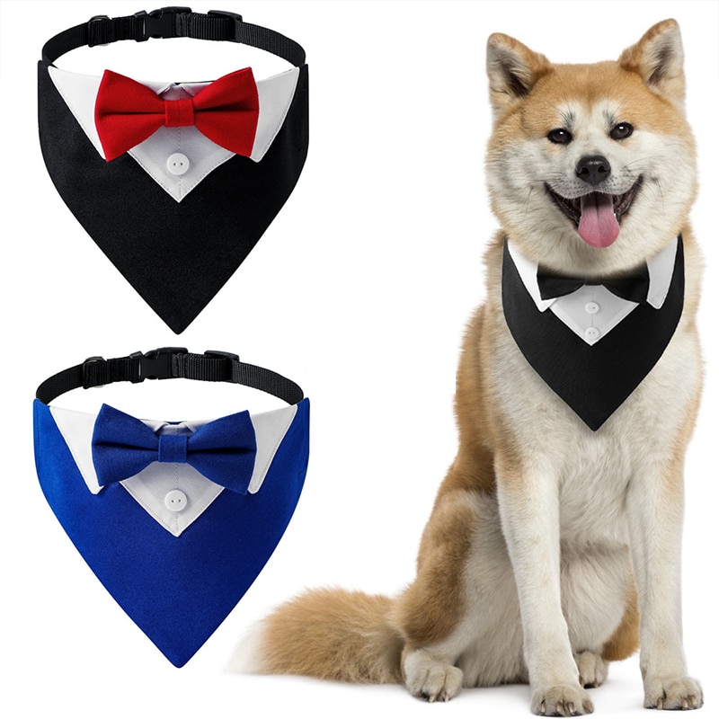 Bow Tie Collar – Party Accessories For Dogs