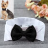 Wedding Accessories For Dogs - Bow Tie Collar