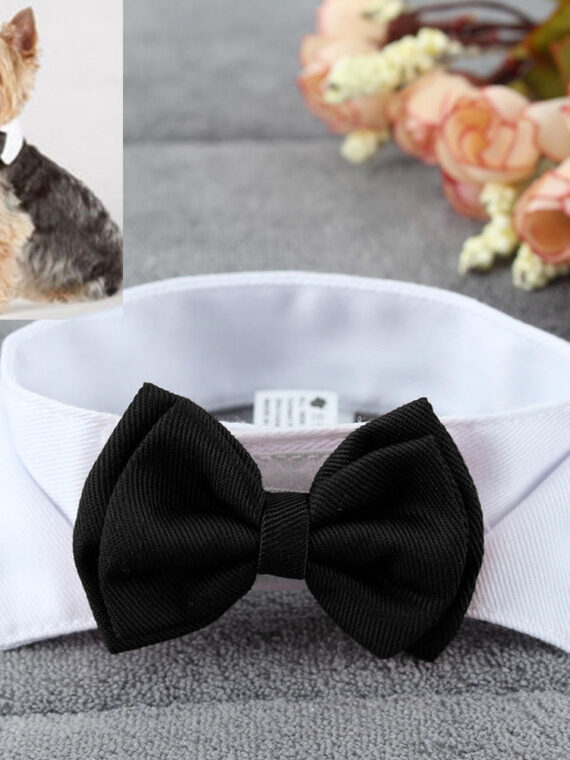 Wedding Accessories For Dogs - Bow Tie Collar