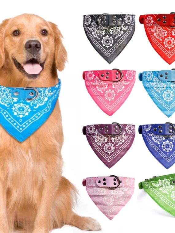 Collar For Dogs – Personality Triangle Bandana