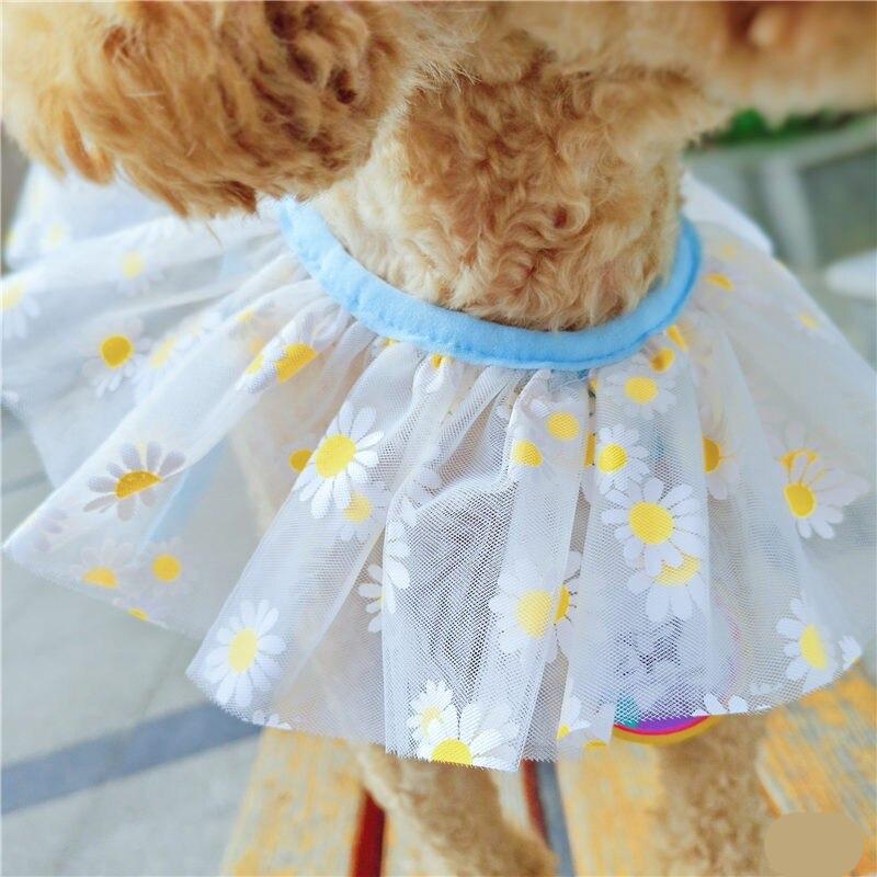 Sweet Mesh Bibs For Elegant Dogs