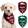 Bibs - Bandanas With Names Printed For Dogs