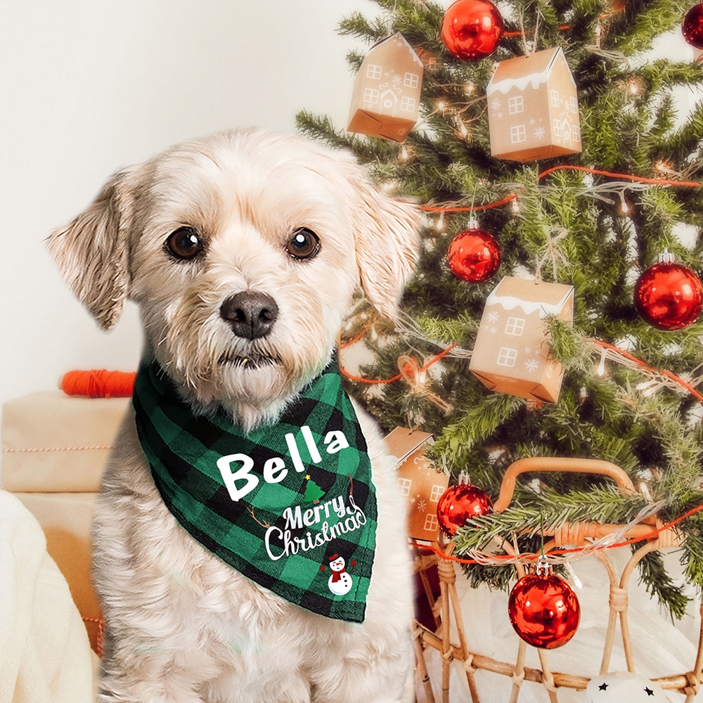 Bibs - Bandanas With Names Printed For Dogs