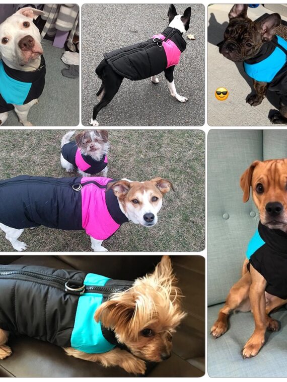 Black Coat For Dog - Modern And Waterproof Design