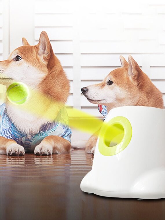 Automatic Tennis Ball Throwing Machine For Dog
