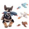 Mallard-shaped Toy With Squeaking Noises