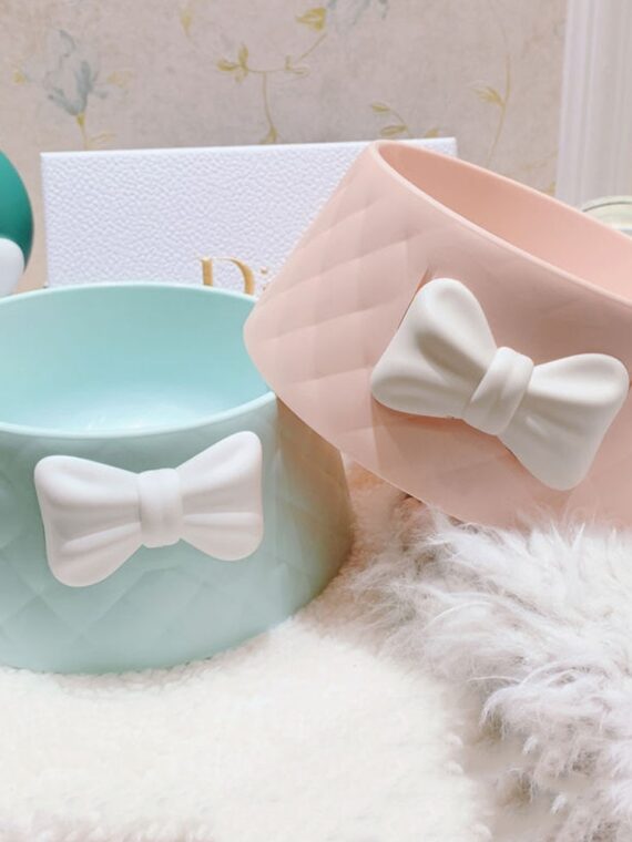 Dog Food Bowl With Cute Bow