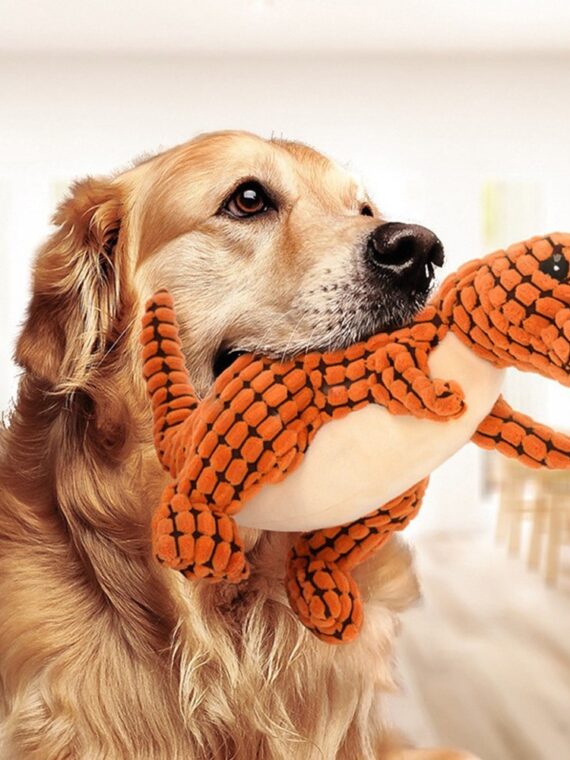 Plush Dinosaur Toy - Chew Toy For Dog