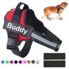 Dog Reflective Harness With ID Custom