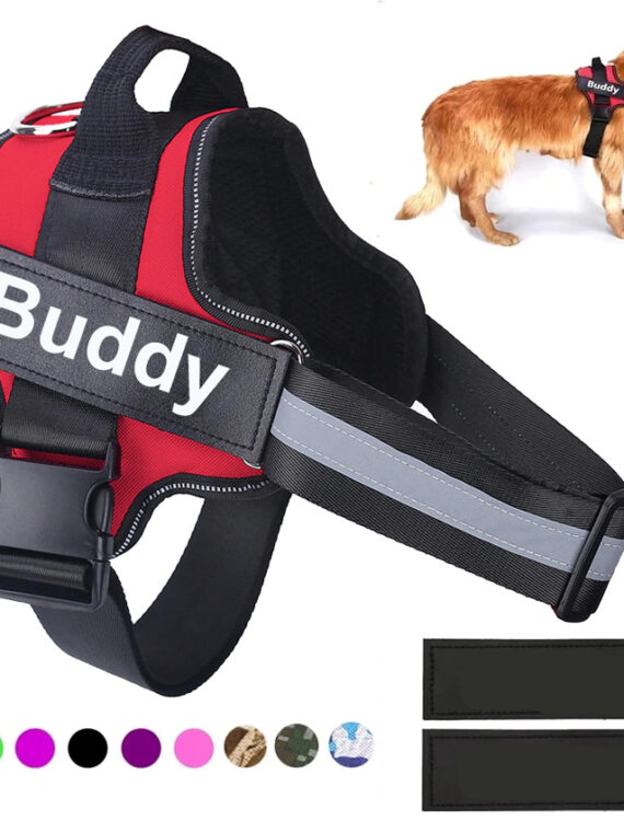 Dog Reflective Harness With ID Custom