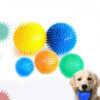 Sounding Ball Toy - Interactive Toys For Dog