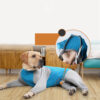 Dog Bodysuit With High-elastic Design
