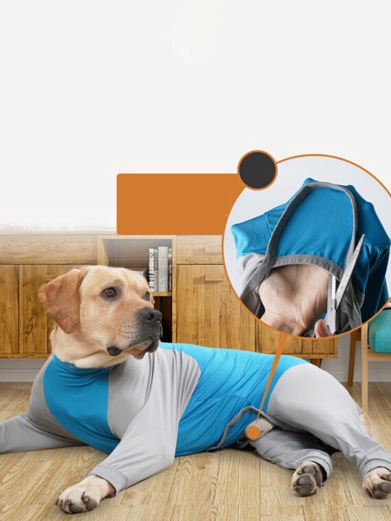 Dog Bodysuit With High-elastic Design