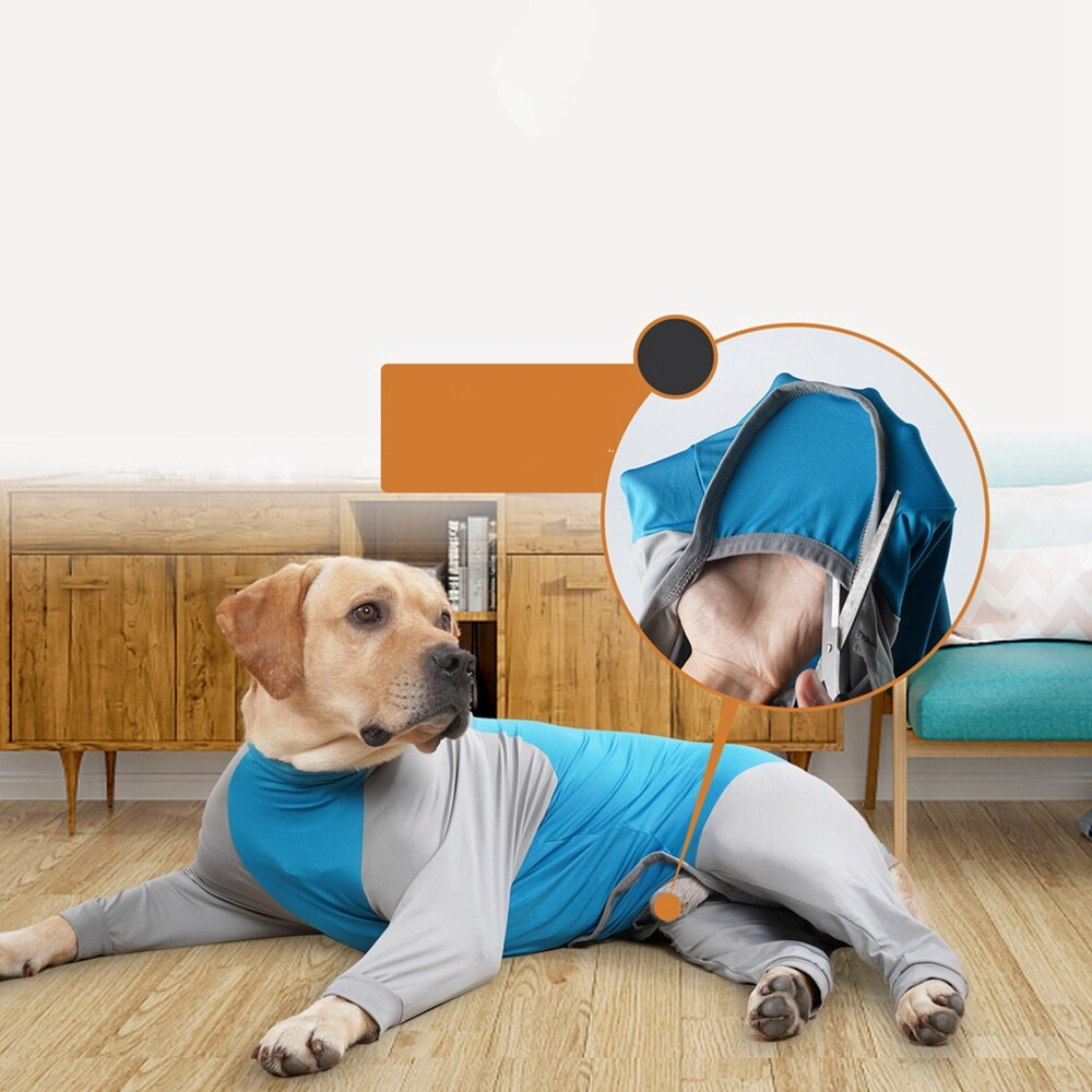 Dog Bodysuit With High-elastic Design