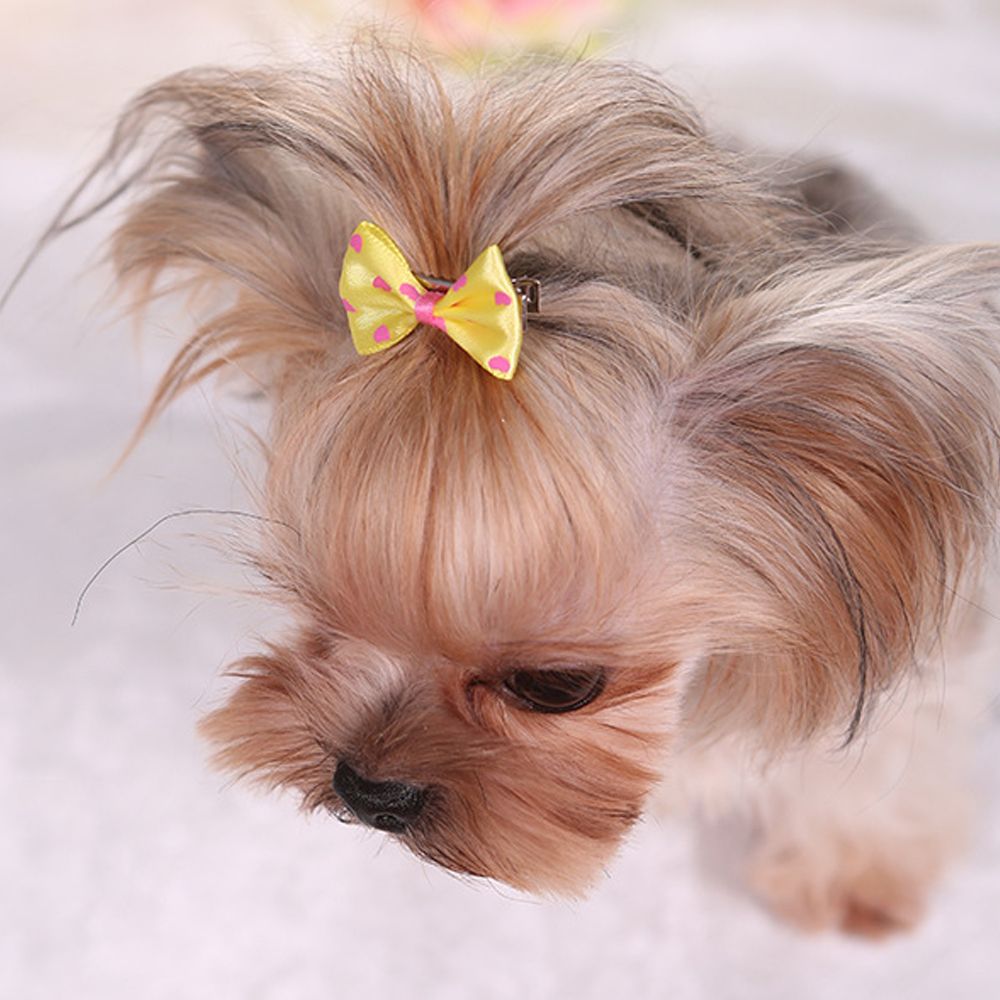 Sweet Bow Hair Clip For Dog