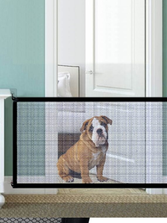Portable Safety Fences Help Protect And Deter Dogs