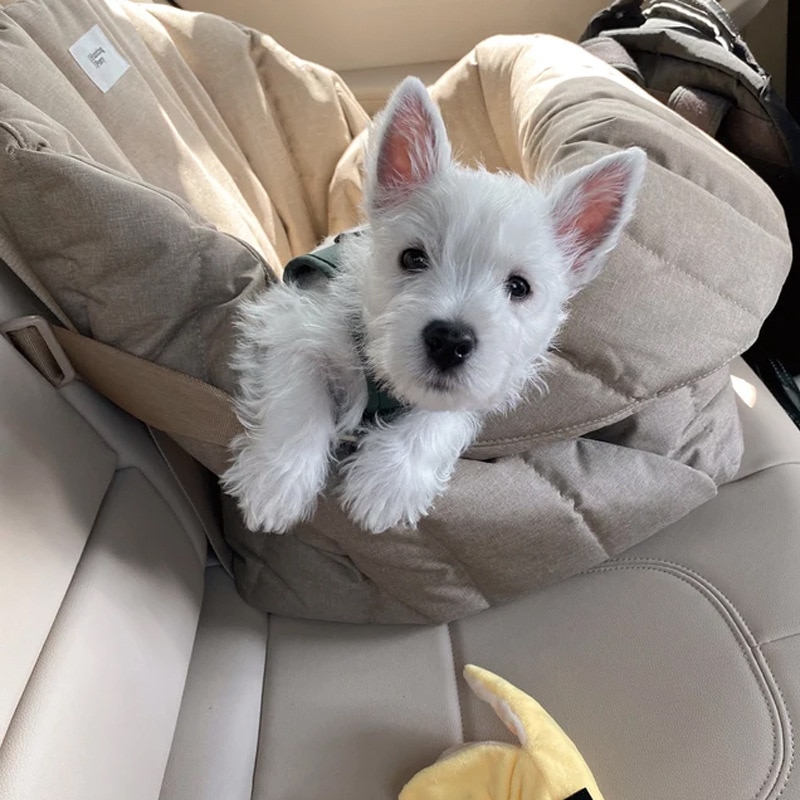 Dog Carrier Bag – Car Seat Cover For Dog 2 In 1
