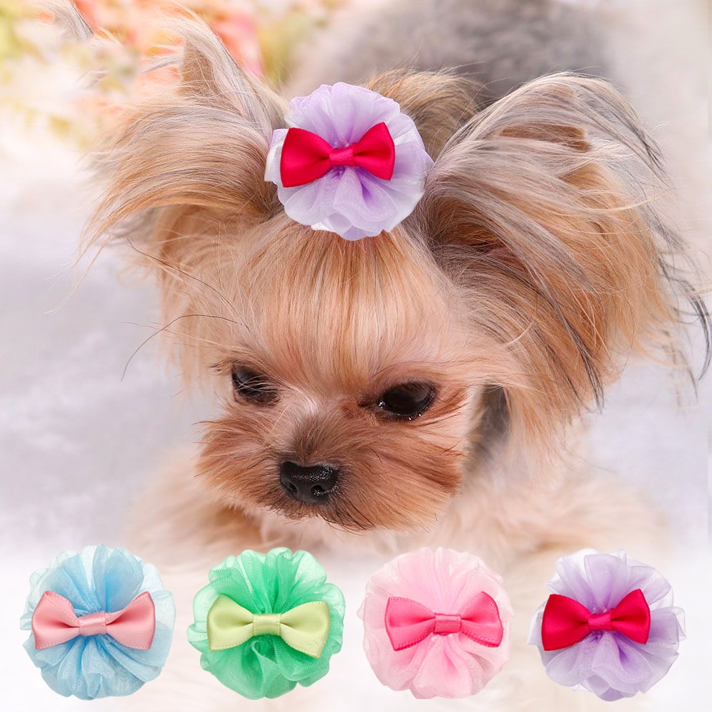 Crown Hair Clip - Beauty Accessories For Dogs