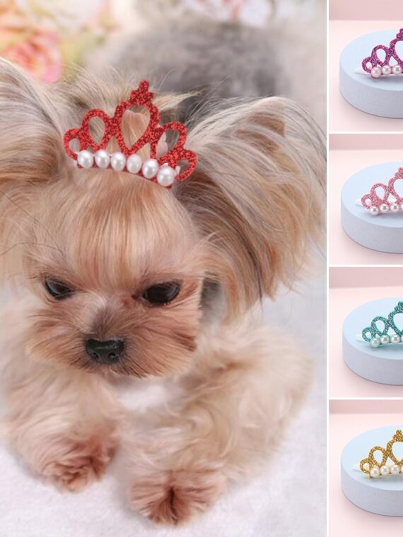Crown Hair Clip - Beauty Accessories For Dogs