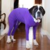 Basic Jumpsuit With A Convenient Zipper For Dog