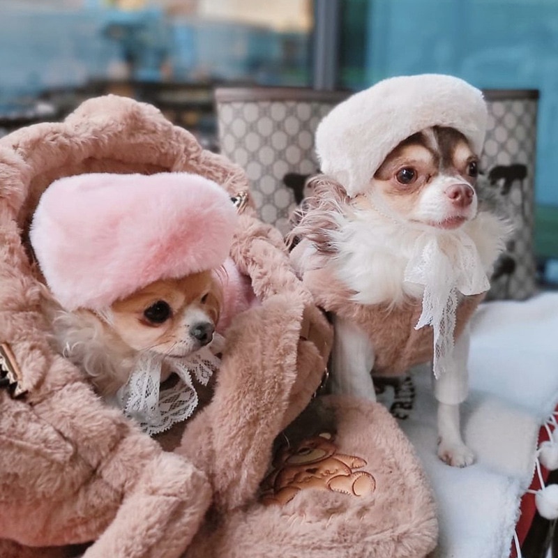Luxurious And Elegant Beret For Dogs