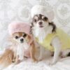Luxurious And Elegant Beret For Dogs