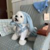 Cute And Sweet Winter Outfits For Dogs