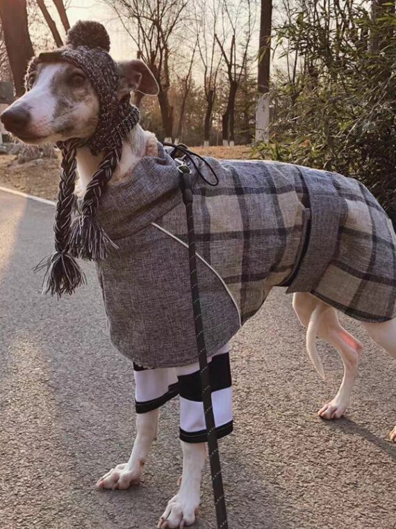 Thicken Coat for Medium And Large Dogs