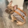Travel Backpack For Dog - Compact and convenient
