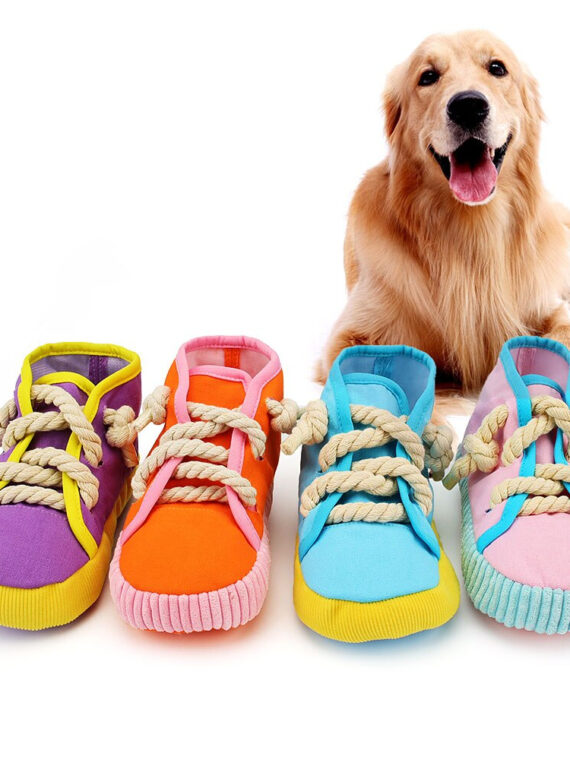 Bite-resistant Shoe Toy For Dogs