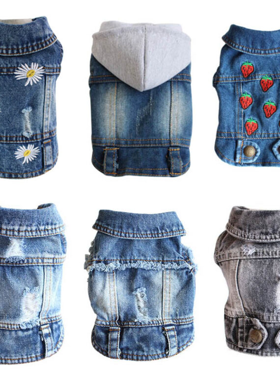 Jeans Outfits With Many Styles For Dogs