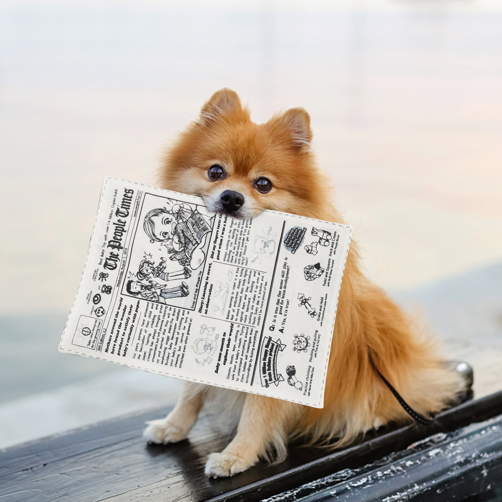 Funny Fake Newspaper - Dog Chew Toys
