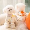 Dog Cute Harness - Soft And Breathable